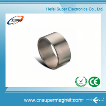 Industrial Neodymium Motor Ring Magnets